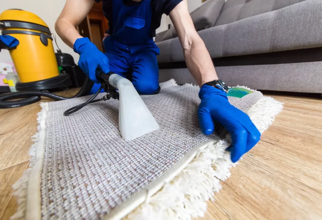 Carpet cleaners in Fredericksburg VA
